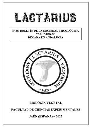 lactarius 30